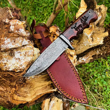 Load image into Gallery viewer, Titan Damascus Steel Buck Engraved Hunting Knife
