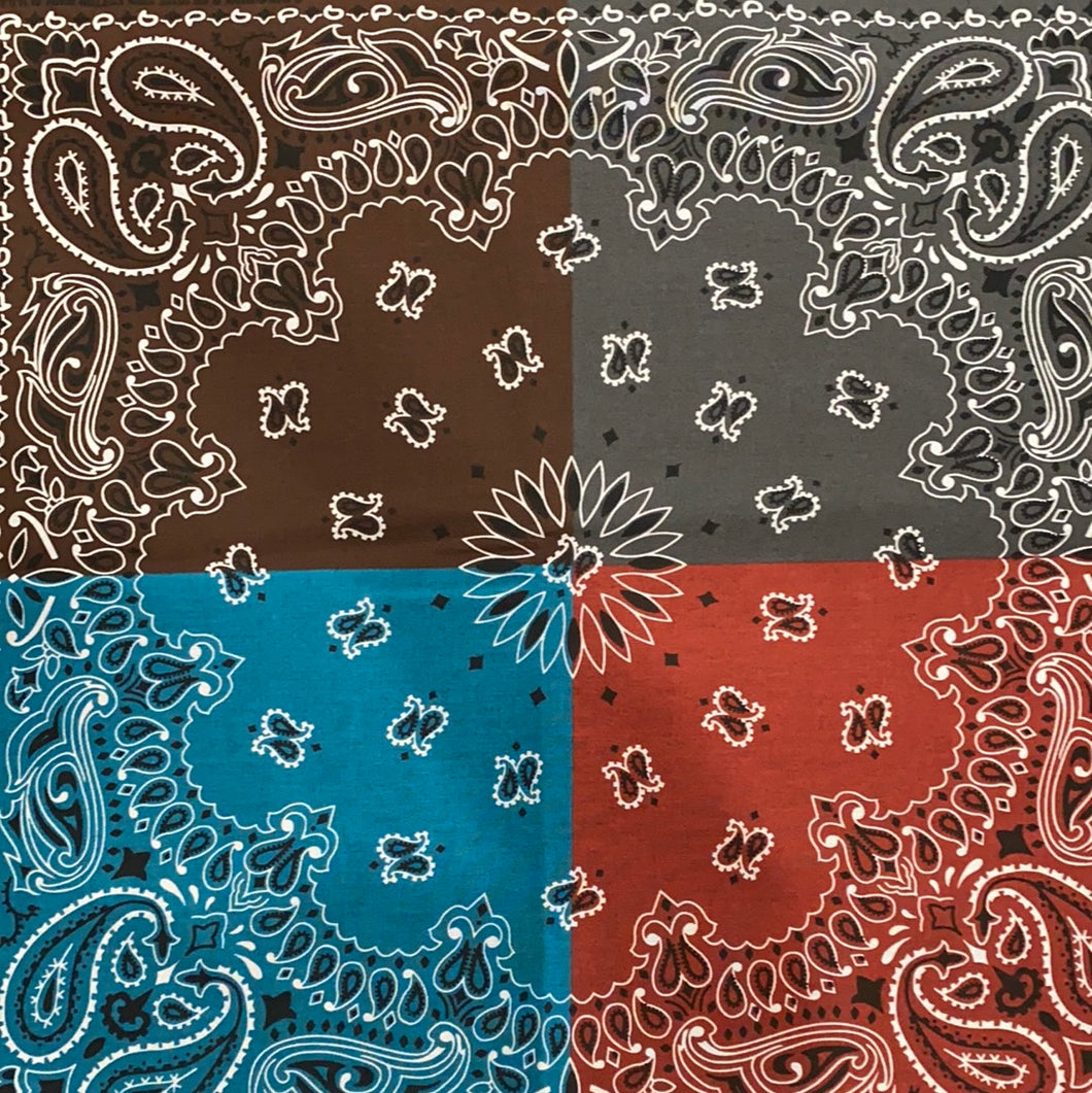Quad Paisley Bandana
